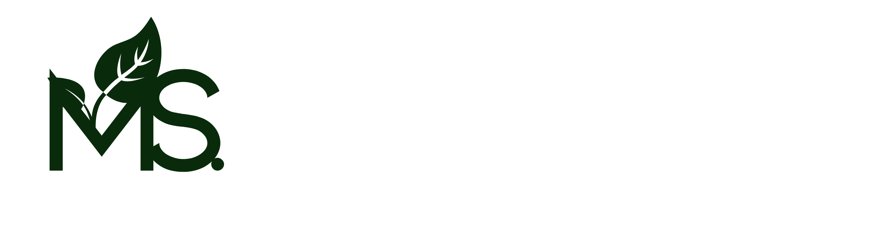 Markus Synergy Limited